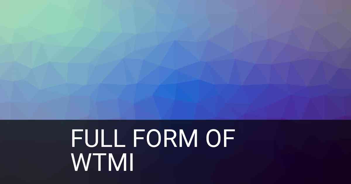 Full Form of wtmi in Social Media